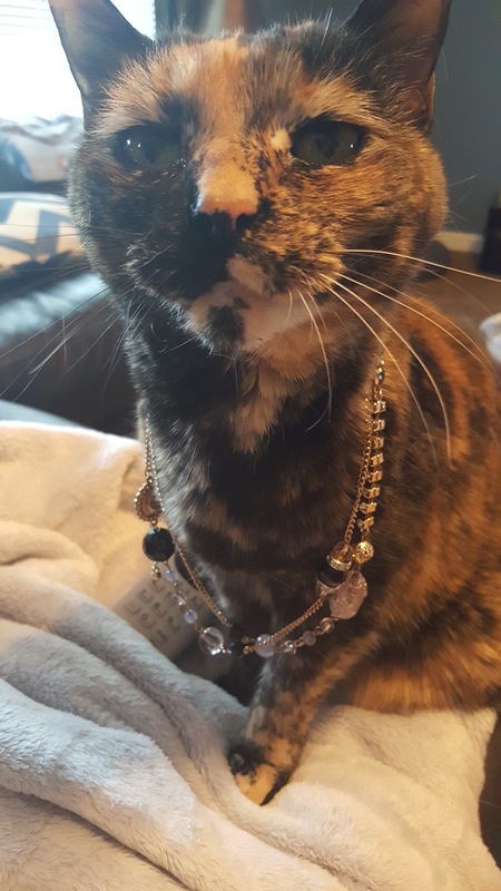 Zelda