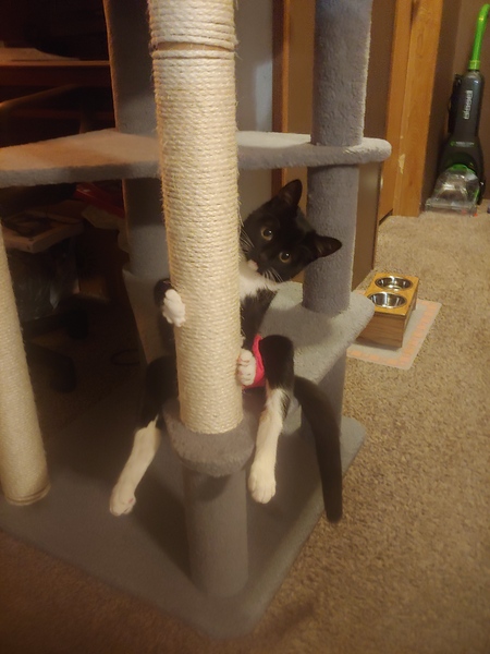 Luna
