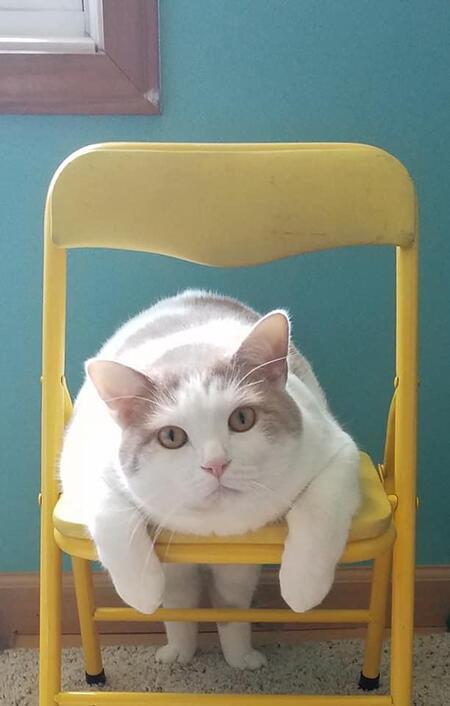 Butter