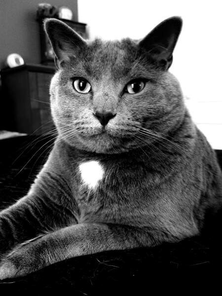 Billy