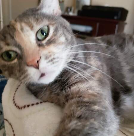 Maggie