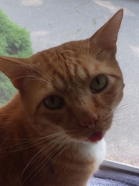 Max