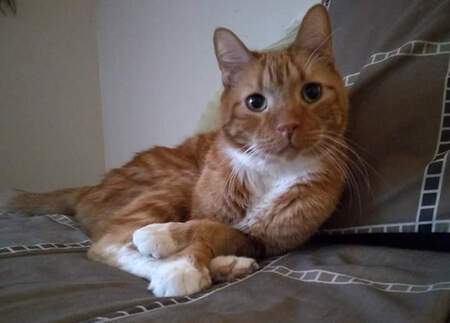 Peter