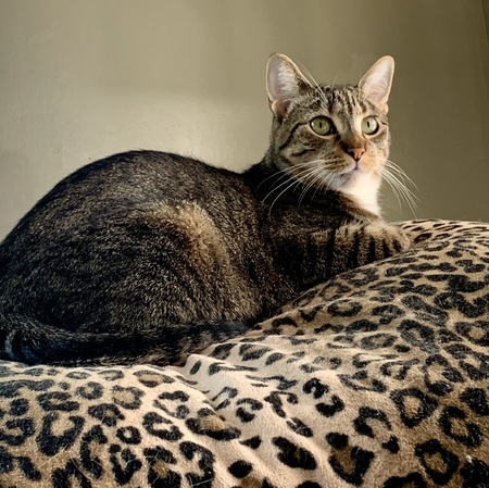 Sophie