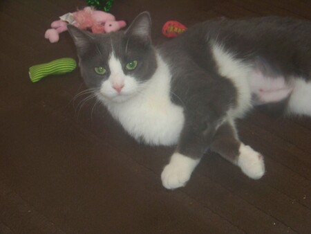 Freida