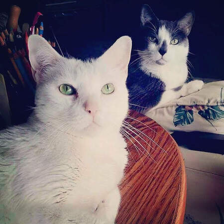 Dave & Ray
