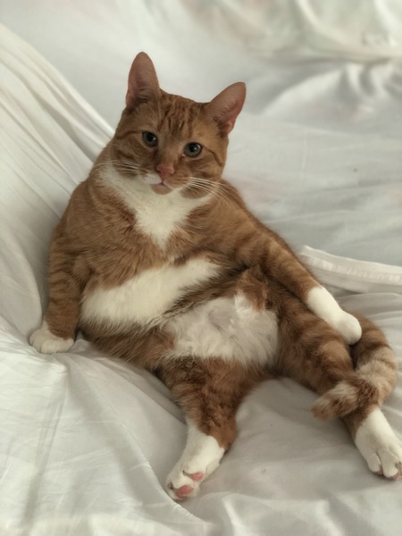 Frederick 