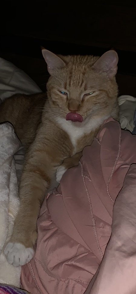 Sebastian 