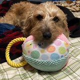 Entry image for Otis