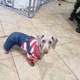 Entry image for Stormy 