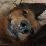 Entry image for Reba