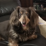 Entry image for Jackson