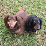 Entry image for Jackson and Chandler