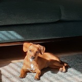 Entry image for Lizzie B