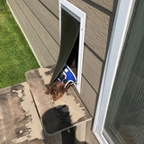 Entry image for Erich 