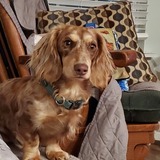 Entry image for Logan