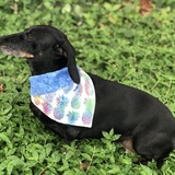 Entry image for Rosie