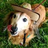 Entry image for Charlie