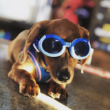 Entry image for Mason