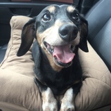 Entry image for Nathan