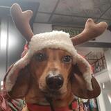 Entry image for Jack 