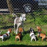 Entry image for Chuck and friends