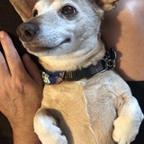 Entry image for Kaiser