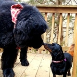 Entry image for Demi Moore