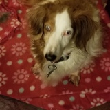 Entry image for Ryley