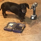 Entry image for Molly