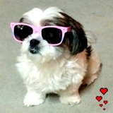 Entry image for CeeCee