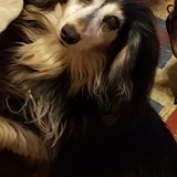 Entry image for Aura