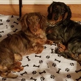 Entry image for Oliver and Winston