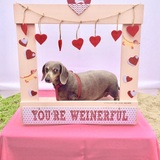 Entry image for Charly