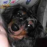 Entry image for Pepper