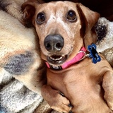 Entry image for Jazmine 