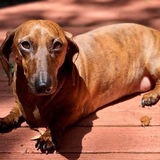 Entry image for Jordan