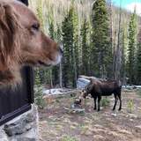 Entry image for Fred