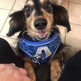 Entry image for Albey