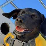 Entry image for Jack