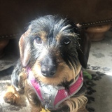 Entry image for Winnie