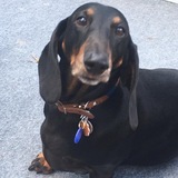 Entry image for Blake