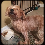 Entry image for Maggie Mae 