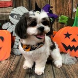 Entry image for CeeCee