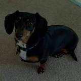 Entry image for Maggie