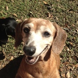 Entry image for Tanner