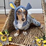 Entry image for Charlie