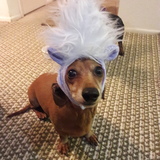 Entry image for Siggy