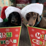 Entry image for Hans and Erich