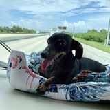 Entry image for Onslow